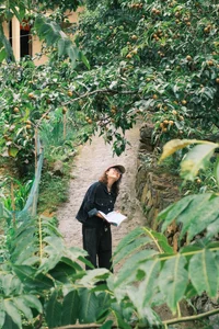 Exploring the Pristine Beauty of Then Pa Village in Lung Cu - image 7