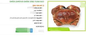 Navigating the Seafood Market: The Popularity of Imported Roe Crabs in Online Retail - image 5