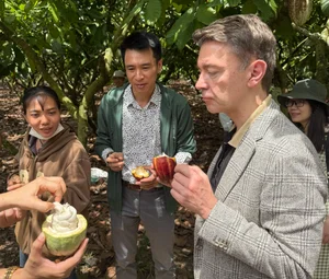 EU Ambassador Visits Dak Lak, Samples Premium Cocoa Directly at the Farm - image 1