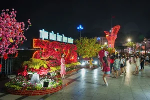Exploring the Scenic Saigon River Route: Ho Chi Minh City's Vibrant Waterfront - image 2