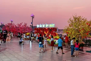 Exploring the Scenic Saigon River Route: Ho Chi Minh City's Vibrant Waterfront - image 7