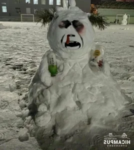 Hilariously Creepy and Unique Snowman Masterpieces That Will Blow Your Mind - image 6
