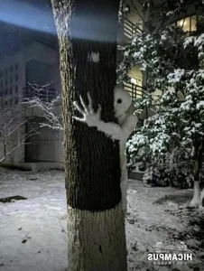 Hilariously Creepy and Unique Snowman Masterpieces That Will Blow Your Mind - image 2