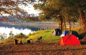 Unwind in Nature: The Ultimate Weekend Camping Guide Amidst Spring Blooms - image 3