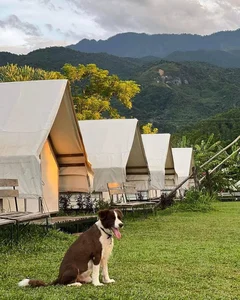 Unwind in Nature: The Ultimate Weekend Camping Guide Amidst Spring Blooms - image 2