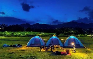 Unwind in Nature: The Ultimate Weekend Camping Guide Amidst Spring Blooms - image 4
