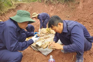 Human Connection and Resilience in Remote Border Forest Communities - image 2