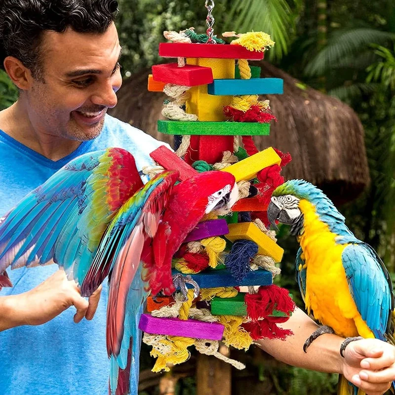 15 Incredible Proofs of Parrot Intelligence You Never Knew