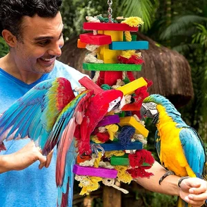 15 Incredible Proofs of Parrot Intelligence You Never Knew - image 0