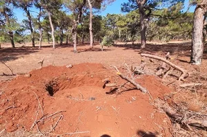 Dak Doa Pine Forest Destruction: Environmental Impact in Gia Lai - image 4