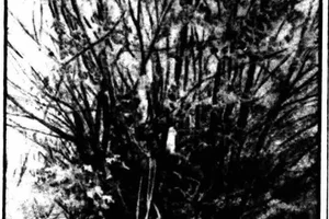 The Haunting Mystery of the Strange Inscriptions on a UK Tower - image 2
