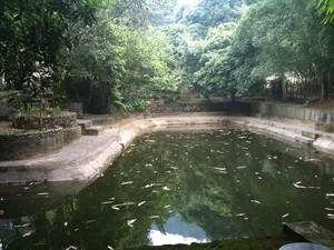 Inside Artist Chi Trung’s Serene Country Estate in Hoa Binh - image 4