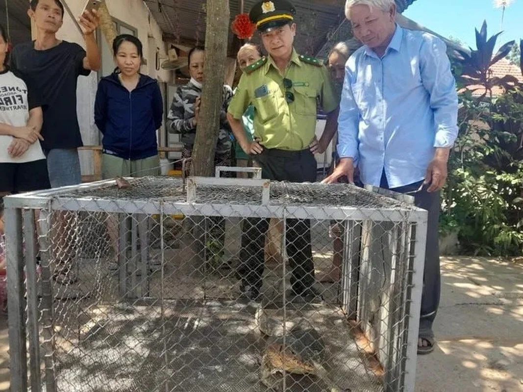 Precious Stray Animals in Vietnam: Conservation and Rescue Efforts