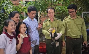 Precious Stray Animals in Vietnam: Conservation and Rescue Efforts - image 6
