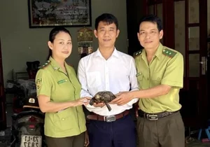 Precious Stray Animals in Vietnam: Conservation and Rescue Efforts - image 8