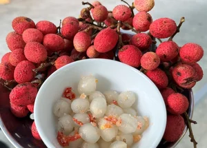 From Wild Fruit to Gourmet Delicacy: Rediscovering 3 Forgotten Treasures - image 2