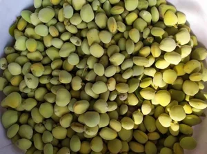 From Wild Fruit to Gourmet Delicacy: Rediscovering 3 Forgotten Treasures - image 0