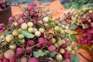 From Wild Fruit to Gourmet Delicacy: Rediscovering 3 Forgotten Treasures - image 3