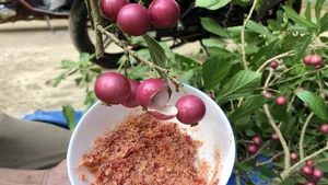 From Wild Fruit to Gourmet Delicacy: Rediscovering 3 Forgotten Treasures - image 6