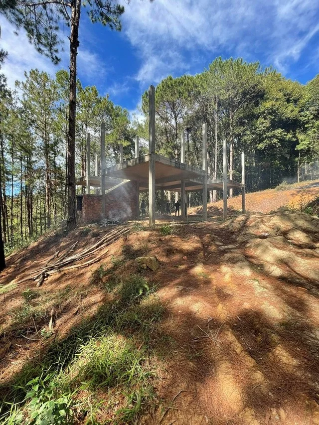 Inside the Stunning Pine Forest Villa of Doan Di Bang in Da Lat