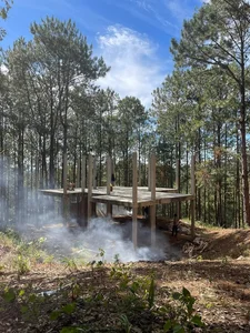 Inside the Stunning Pine Forest Villa of Doan Di Bang in Da Lat - image 3