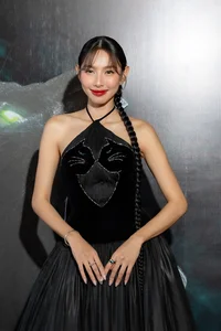 Quang Linh Vlogs and Stars Shine at Thuy Tien's Linh Mieu Movie Premiere - image 1