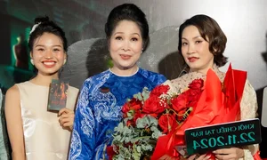 Quang Linh Vlogs and Stars Shine at Thuy Tien's Linh Mieu Movie Premiere - image 6