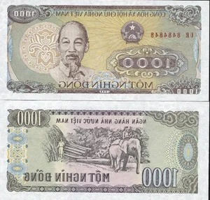 Rare Cotton Banknotes Still in Circulation Within Modern Vietnam - image 5