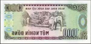 Rare Cotton Banknotes Still in Circulation Within Modern Vietnam - image 7