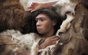 New Archaeological Discoveries Reveal the Surprising Migration Journey of Neanderthals - image 2