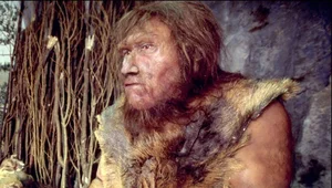New Archaeological Discoveries Reveal the Surprising Migration Journey of Neanderthals - image 6