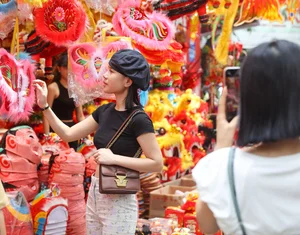 Vibrant Colors of Mid-Autumn Festival on Hang Ma Street - image 13