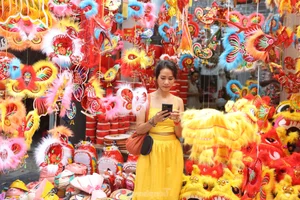 Vibrant Colors of Mid-Autumn Festival on Hang Ma Street - image 4