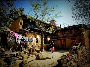 Exploring the Astonishing Ancient Village with Connected Houses in Vietnam - image 5