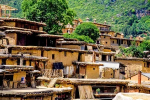 Exploring the Astonishing Ancient Village with Connected Houses in Vietnam - image 7