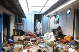 Historic Floods Ravage South Korea: A Comprehensive Overview of the Devastation - image 9