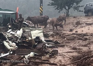 Historic Floods Ravage South Korea: A Comprehensive Overview of the Devastation - image 4