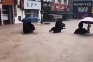 Historic Floods Ravage South Korea: A Comprehensive Overview of the Devastation - image 8