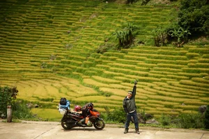 Ngoc Linh Terraced Fields: A Golden Harvest Paradise in Quang Ngai - image 2