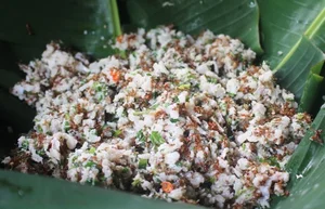 Culinary Adventure in Kon Tum: Tasting the Unique Yellow Ant Fish Salad - image 3