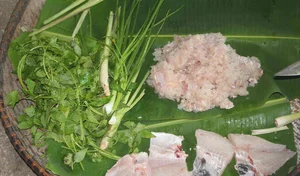 Culinary Adventure in Kon Tum: Tasting the Unique Yellow Ant Fish Salad - image 1