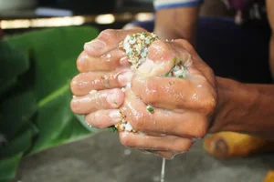 Culinary Adventure in Kon Tum: Tasting the Unique Yellow Ant Fish Salad - image 5