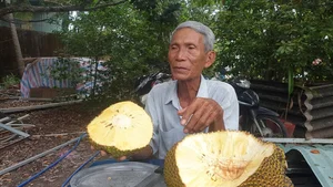 The Rise of Seedless Jackfruit: Why This Exotic Fruit is Becoming a Premium Global Trend - image 0