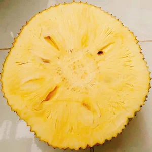 The Rise of Seedless Jackfruit: Why This Exotic Fruit is Becoming a Premium Global Trend - image 7