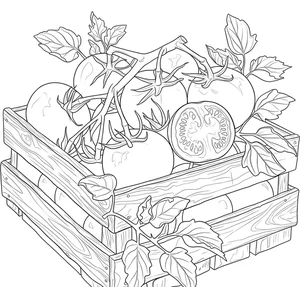 133+ Creative Tomato Coloring Pages: Beautiful Designs for Kids and Art Lovers - image 7