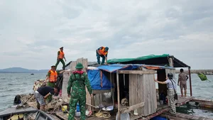 Urgent Preparations for Super Typhoon Yagi on Co To Island - image 2