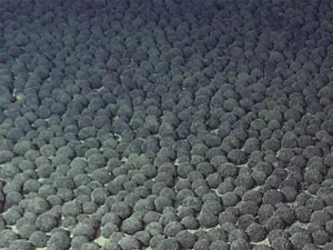 Astonishing Deep Sea Treasure Mine Discovered in the Midnight Zone - image 4
