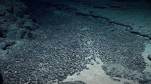Astonishing Deep Sea Treasure Mine Discovered in the Midnight Zone - image 7