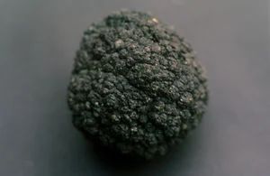 Astonishing Deep Sea Treasure Mine Discovered in the Midnight Zone - image 2