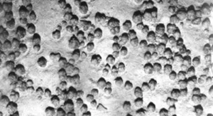 Astonishing Deep Sea Treasure Mine Discovered in the Midnight Zone - image 1